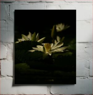 Πίνακας, White Flowers in Darkness Λευκά λουλούδια στο σκοτάδι