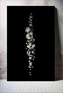 Πίνακας, White Flowers on Black Λευκά λουλούδια σε μαύρο