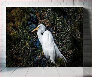 Πίνακας, White Heron Amidst Green Foliage Λευκός ερωδιός ανάμεσα σε πράσινο φύλλωμα