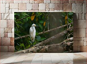 Πίνακας, White Heron Perched on a Tree Branch Λευκός ερωδιός σκαρφαλωμένος σε κλαδί δέντρου