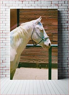 Πίνακας, White Horse by Wooden Fence White Horse από ξύλινο φράχτη