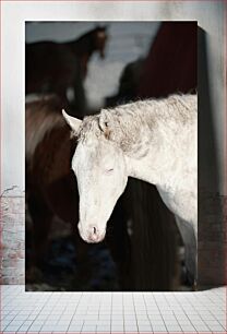 Πίνακας, White Horse in Barn Λευκό Άλογο στον Αχυρώνα
