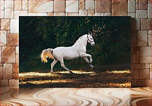 Πίνακας, White Horse in Nature Λευκό Άλογο στη Φύση