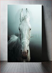Πίνακας, White Horse in the Mist Λευκό Άλογο στην Ομίχλη
