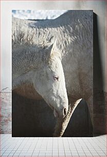 Πίνακας, White Horse in Winter Λευκό Άλογο τον Χειμώνα