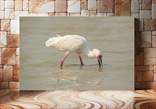 Πίνακας, White Ibis in Water Λευκό Ibis στο νερό