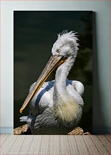 Πίνακας, White Pelican Portrait Πορτρέτο Λευκού Πελεκάνου