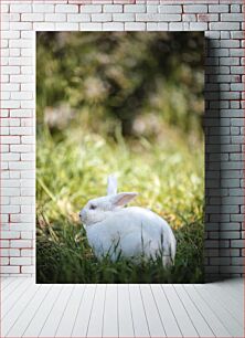 Πίνακας, White Rabbit in Grass Λευκό κουνέλι στο γρασίδι