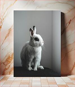 Πίνακας, White Rabbit in Minimalist Setting Λευκό κουνέλι σε μινιμαλιστικό σκηνικό