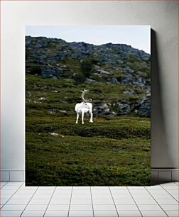 Πίνακας, White Reindeer in the Mountains Λευκοί Τάρανδοι στα Βουνά