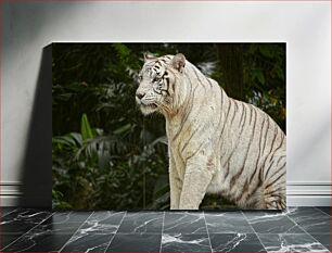 Πίνακας, White Tiger in the Jungle Λευκή Τίγρη στη Ζούγκλα