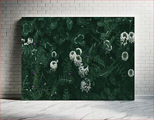 Πίνακας, White Wildflowers in Dense Green Foliage Λευκά αγριολούλουδα σε πυκνό πράσινο φύλλωμα