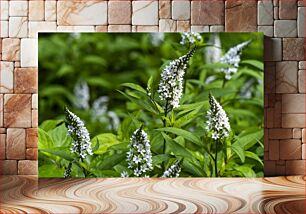 Πίνακας, White Wildflowers in Greenery Λευκά αγριολούλουδα στο πράσινο