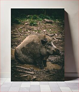 Πίνακας, Wild Boar in the Mud Αγριογούρουνο στη Λάσπη