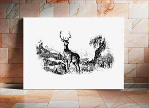 Πίνακας, Wild deer from The Poetical Works Of Oliver Goldsmith (1888)