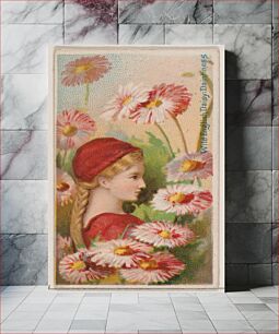 Πίνακας, Wild English Daisy: Daintiness, from the series Floral Beauties and Language of Flowers (N75) for Duke brand cigarettes
