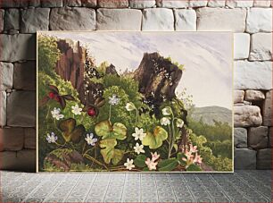 Πίνακας, Wild flowers no. 2