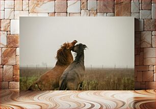 Πίνακας, Wild Horses in a Misty Field Άγρια άλογα σε ένα ομιχλώδες χωράφι