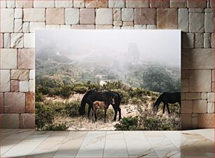 Πίνακας, Wild Horses in Foggy Landscape Άγρια άλογα σε ομιχλώδες τοπίο