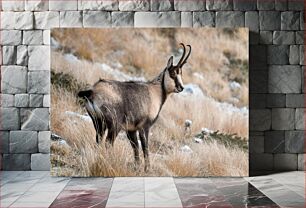 Πίνακας, Wild Mountain Goat Άγρια Ορεινή Κατσίκα