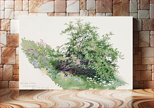 Πίνακας, Wild Rose, Wassen by George Elbert Burr
