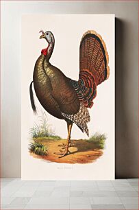 Πίνακας, Wild turkey (1872) by L. Prang & Co.,