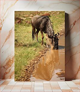 Πίνακας, Wildebeest Drinking Water Πόσιμο νερό Wildebeest