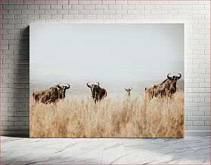 Πίνακας, Wildebeest in Grasslands Wildebeest in Grasslands