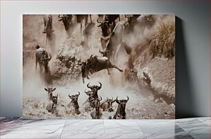 Πίνακας, Wildebeest Migration Wildebeest Migration