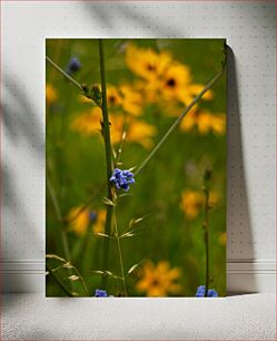 Πίνακας, Wildflowers in Summer Meadow Αγριολούλουδα στο Summer Meadow