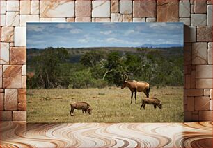 Πίνακας, Wildlife in the Savanna Άγρια ζωή στη Σαβάνα