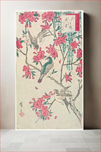 Πίνακας, Willow, Cherry Blossoms, Sparrows and Swallow