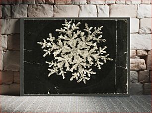 Πίνακας, Wilson Bentley Photomicrograph of Fernlike Stellar Snowflake No. 1095 by Wilson Bentley