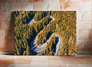 Πίνακας, Winding Forest Road Ελικοειδής δασικός δρόμος