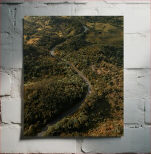 Πίνακας, Winding Road through Lush Landscape Ελικοειδής δρόμος μέσα από καταπράσινο τοπίο