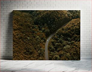 Πίνακας, Winding Road Through the Forest Δρόμος με στροφές μέσα από το δάσος