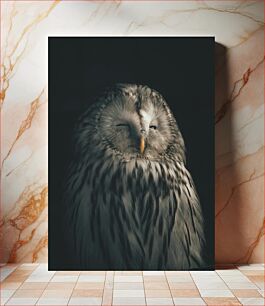 Πίνακας, Winking Owl in Darkness Κουκουβάγια που κλείνει το μάτι στο σκοτάδι