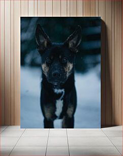 Πίνακας, Winter Dog Χειμερινός σκύλος