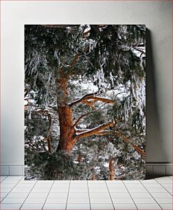Πίνακας, Winter Forest Χειμερινό Δάσος