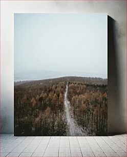 Πίνακας, Winter Forest Path Χειμερινό Δασικό Μονοπάτι