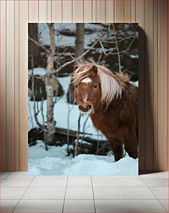 Πίνακας, Winter Horse Χειμερινό άλογο