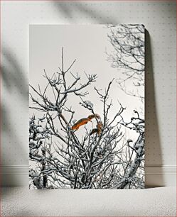 Πίνακας, Winter Leap Χειμερινό Άλμα