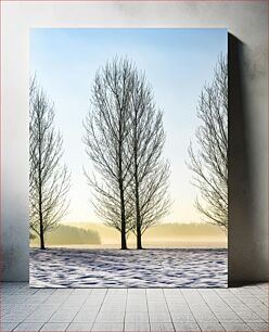 Πίνακας, Winter Morning Trees Χειμωνιάτικα Πρωινά Δέντρα