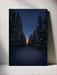 Πίνακας, Winter Night Sky Through the Forest Winter Night Sky Through the Forest