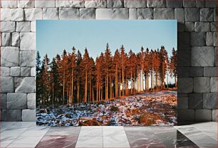 Πίνακας, Winter Pine Forest Χειμερινό πευκοδάσος