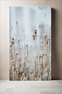 Πίνακας, Winter Plants in Frost Χειμερινά φυτά στον παγετό