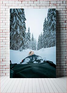 Πίνακας, Winter Sledge Ride Through Snowy Forest Winter Sledge Ride Through Snowy Forest