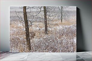 Πίνακας, Winter Trees in a Snowy Field Χειμερινά δέντρα σε ένα χιονισμένο χωράφι