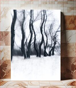 Πίνακας, Winter Trees in Abstract Winter Trees in Abstract