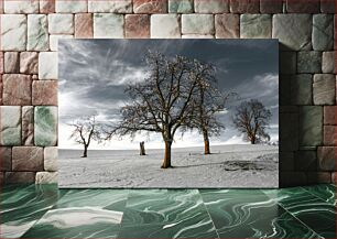 Πίνακας, Winter Trees in Snowy Field Χειμερινά δέντρα στο χιονισμένο χωράφι